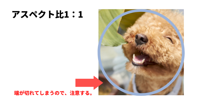 アスペクト比1:1の例
