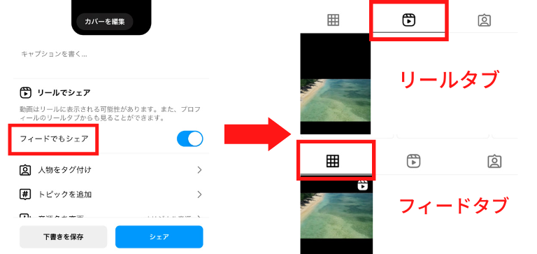 リール・フィードそれぞれに動画が反映される